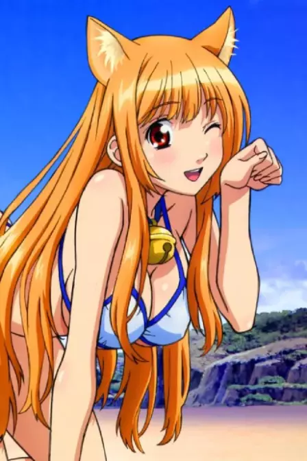 Asobi ni Iku yo! Asobi ni Oide English Subbed poster