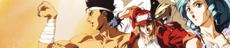 Battle Fighters Garou Densetsu BG