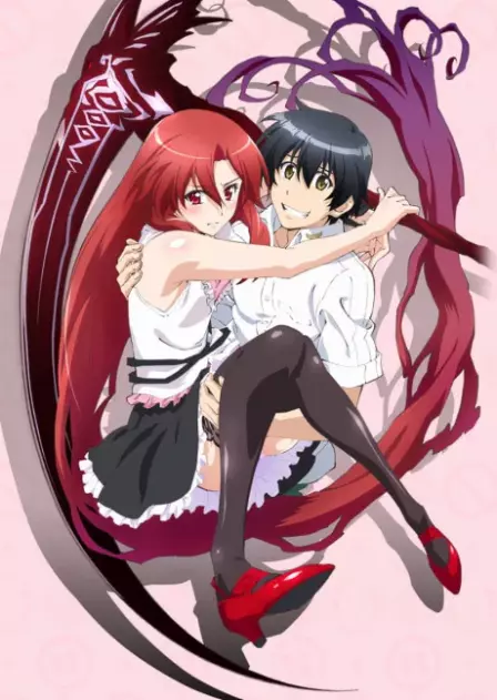 Dakara Boku wa, H ga Dekinai. English Subbed poster