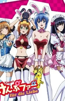 Kämpfer für die Liebe English Dubbed poster