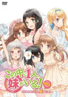 Kono Naka ni Hitori, Imouto ga Iru!: Ani, Imouto, Koibito English Dubbed poster